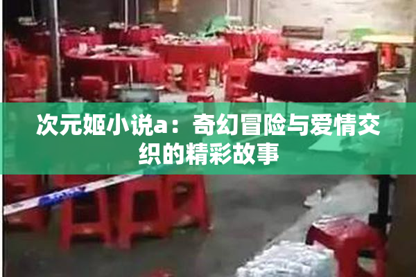 次元姬小说a：奇幻冒险与爱情交织的精彩故事