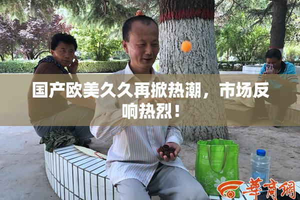 国产欧美久久再掀热潮，市场反响热烈！