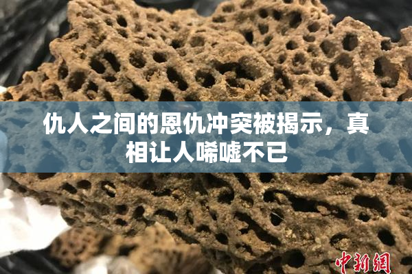 仇人之间的恩仇冲突被揭示，真相让人唏嘘不已