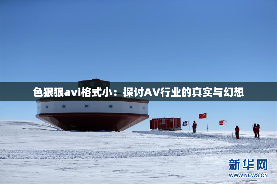 色狠狠avi格式小：探讨AV行业的真实与幻想