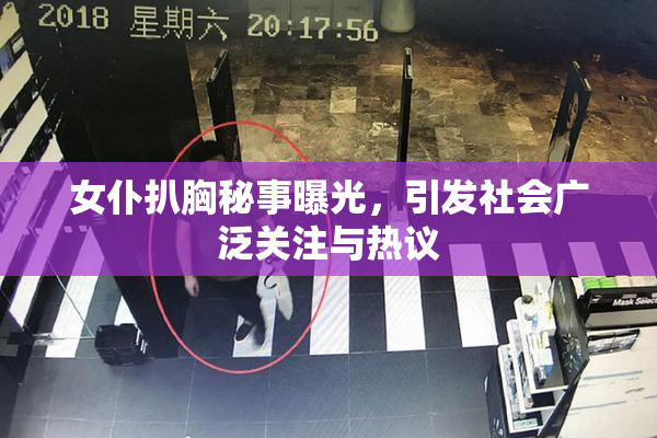 女仆扒胸秘事曝光，引发社会广泛关注与热议