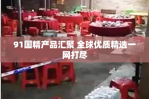 91国精产品汇聚 全球优质精选一网打尽