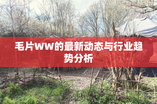 毛片WW的最新动态与行业趋势分析