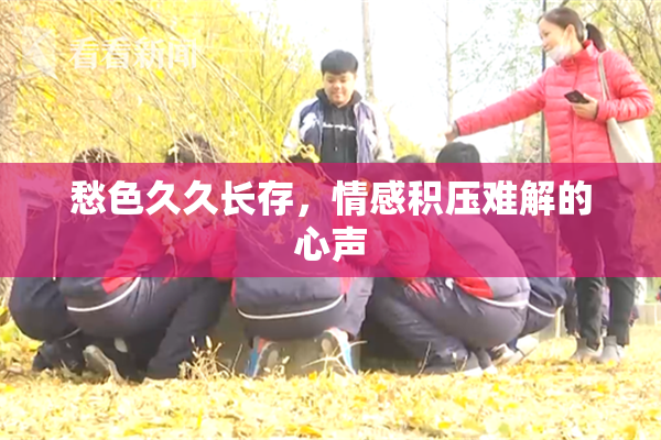 愁色久久长存，情感积压难解的心声