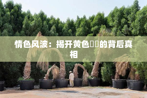 情色风波：揭开黄色亂倫的背后真相