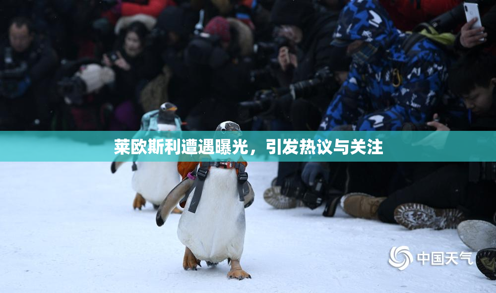 莱欧斯利遭遇曝光，引发热议与关注