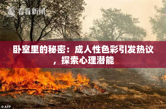 卧室里的秘密：成人性色彩引发热议，探索心理潜能