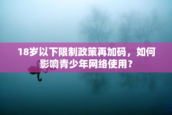 18岁以下限制政策再加码，如何影响青少年网络使用？
