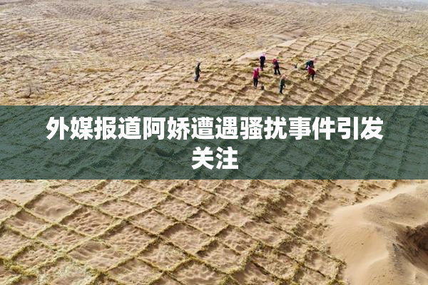 外媒报道阿娇遭遇骚扰事件引发关注