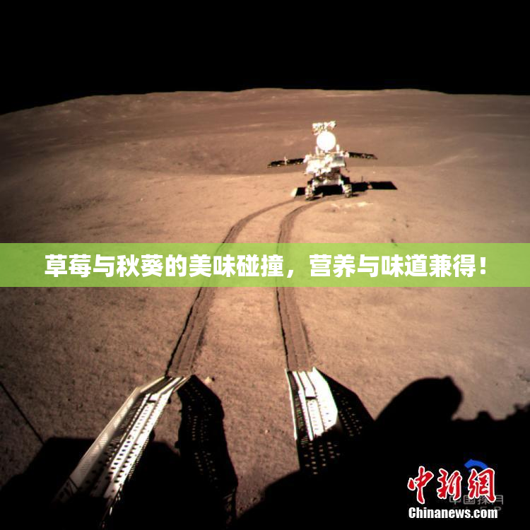 草莓与秋葵的美味碰撞，营养与味道兼得！