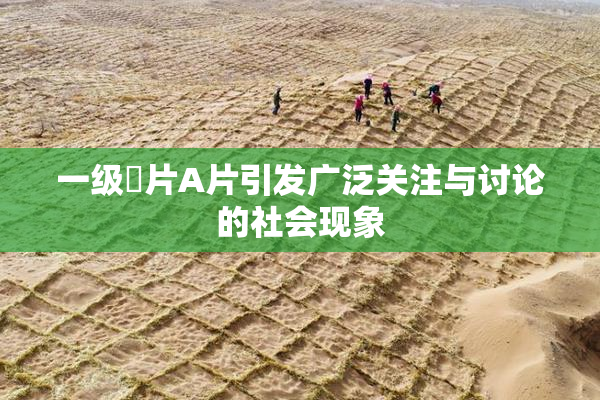一级婬片A片引发广泛关注与讨论的社会现象