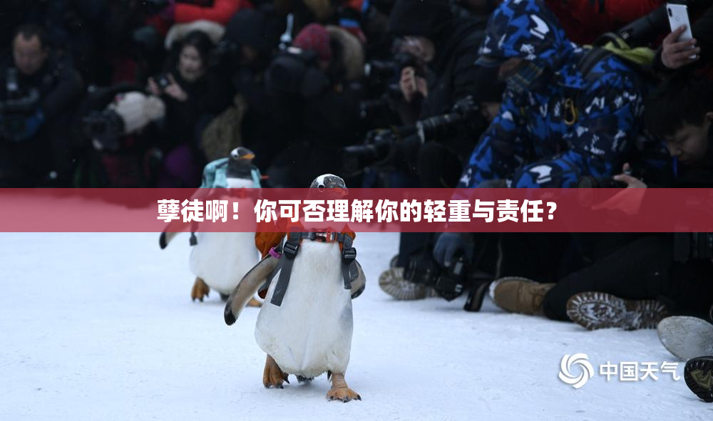 孽徒啊！你可否理解你的轻重与责任？
