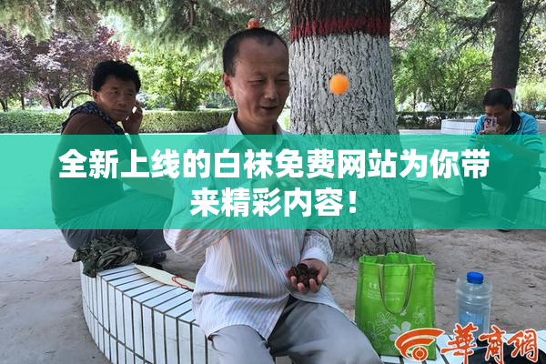 全新上线的白袜免费网站为你带来精彩内容！