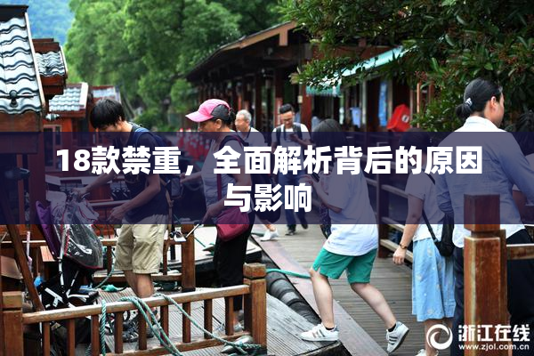 18款禁重，全面解析背后的原因与影响