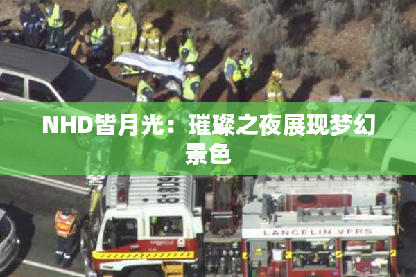 NHD皆月光：璀璨之夜展现梦幻景色