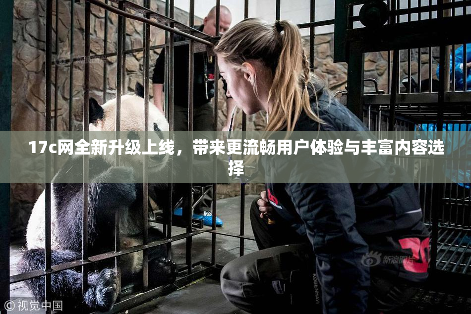 17c网全新升级上线，带来更流畅用户体验与丰富内容选择