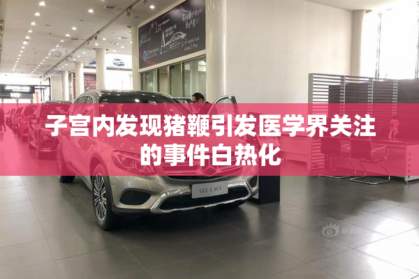 子宫内发现猪鞭引发医学界关注的事件白热化