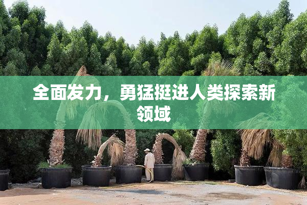 全面发力，勇猛挺进人类探索新领域