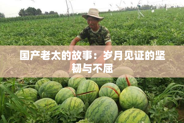 国产老太的故事：岁月见证的坚韧与不屈
