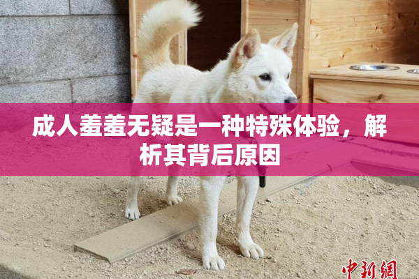 成人羞羞无疑是一种特殊体验，解析其背后原因