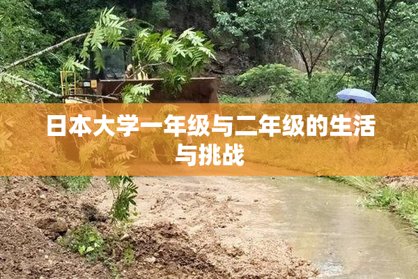 日本大学一年级与二年级的生活与挑战