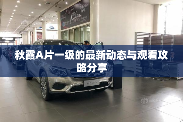 秋霞A片一级的最新动态与观看攻略分享