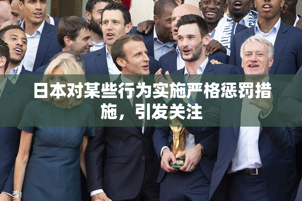 日本对某些行为实施严格惩罚措施，引发关注