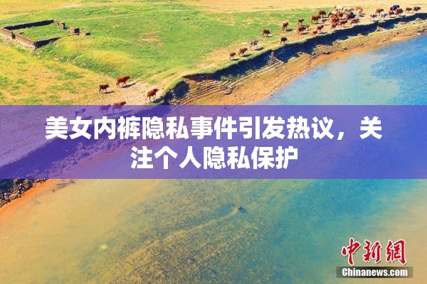 美女内裤隐私事件引发热议，关注个人隐私保护
