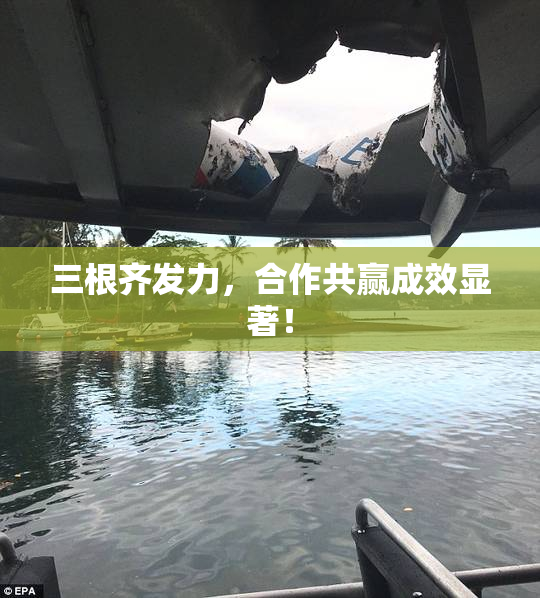 三根齐发力，合作共赢成效显著！