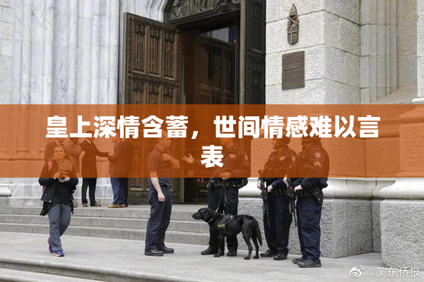 皇上深情含蓄，世间情感难以言表