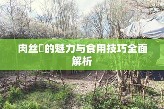 肉丝祙的魅力与食用技巧全面解析