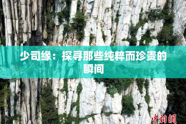 少司缘：探寻那些纯粹而珍贵的瞬间