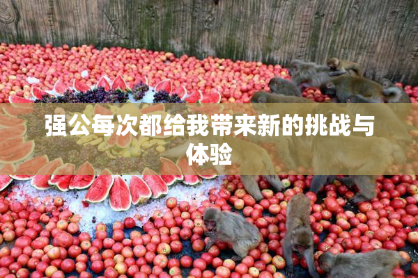 强公每次都给我带来新的挑战与体验