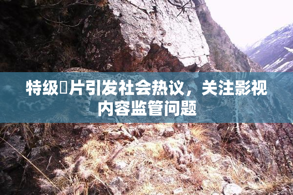 特级婬片引发社会热议，关注影视内容监管问题