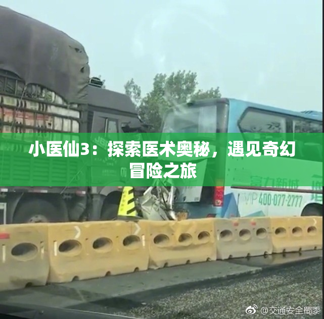 小医仙3：探索医术奥秘，遇见奇幻冒险之旅