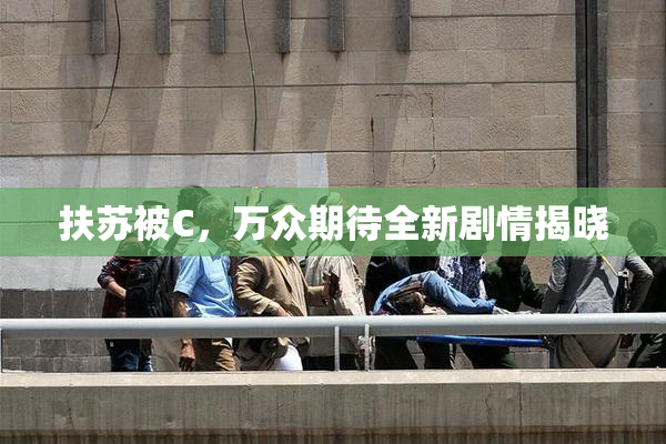 扶苏被C，万众期待全新剧情揭晓