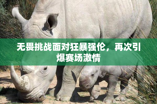 无畏挑战面对狂暴强伦，再次引爆赛场激情