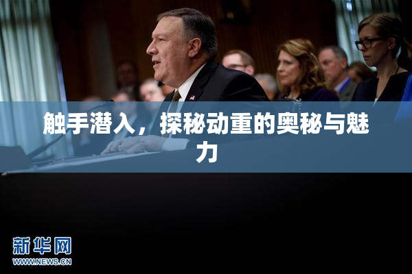 触手潜入，探秘动重的奥秘与魅力