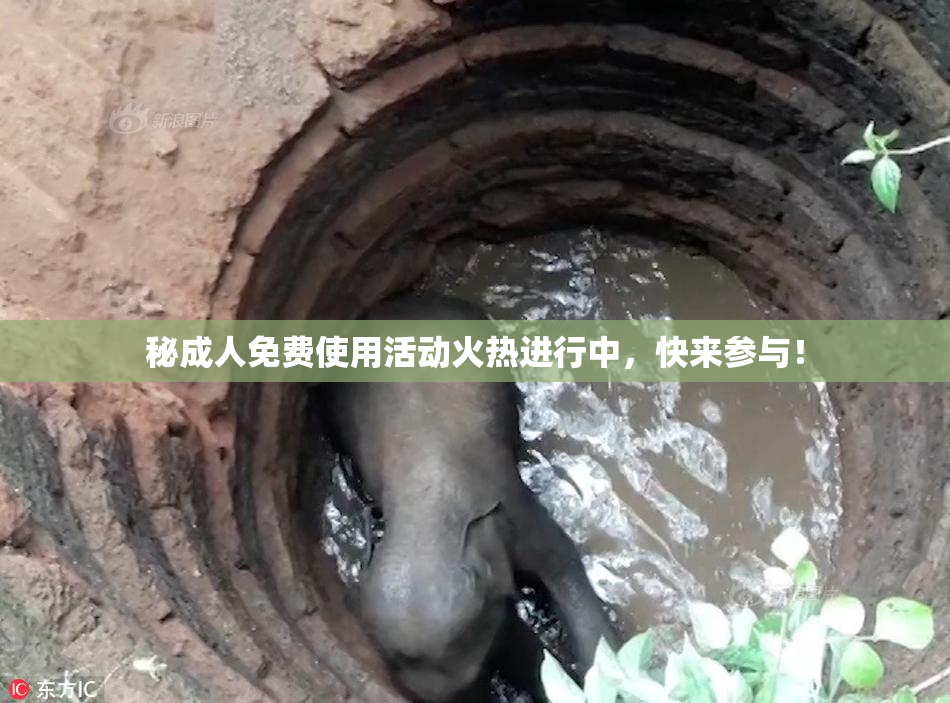 秘成人免费使用活动火热进行中，快来参与！