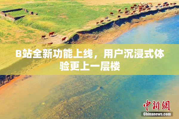 B站全新功能上线，用户沉浸式体验更上一层楼