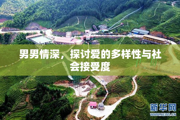 男男情深，探讨爱的多样性与社会接受度