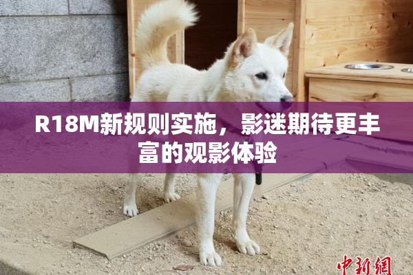R18M新规则实施，影迷期待更丰富的观影体验