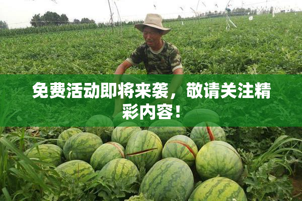 免费活动即将来袭，敬请关注精彩内容！