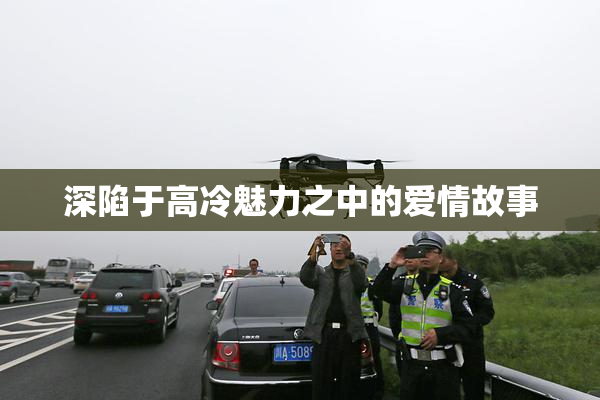 深陷于高冷魅力之中的爱情故事