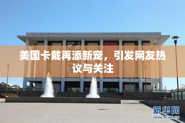 美国卡戴再添新宠，引发网友热议与关注