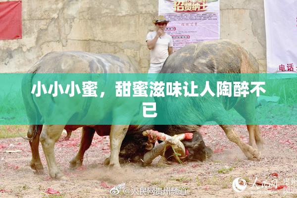 小小小蜜，甜蜜滋味让人陶醉不已