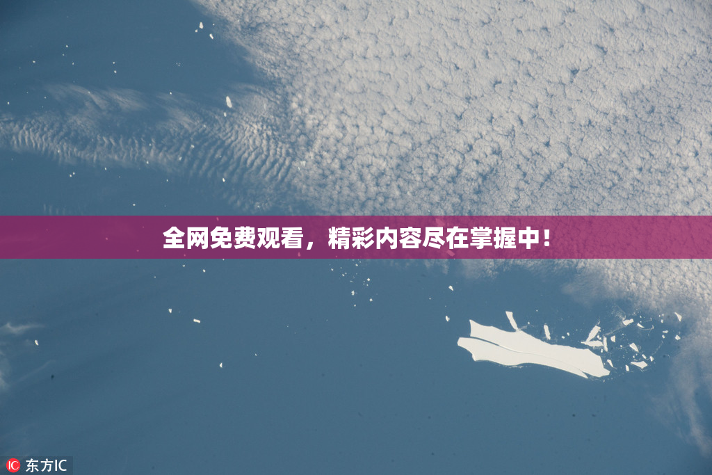 全网免费观看，精彩内容尽在掌握中！