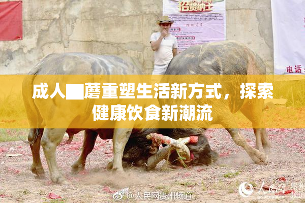成人▇蘑重塑生活新方式，探索健康饮食新潮流
