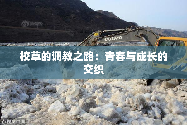 校草的调教之路：青春与成长的交织