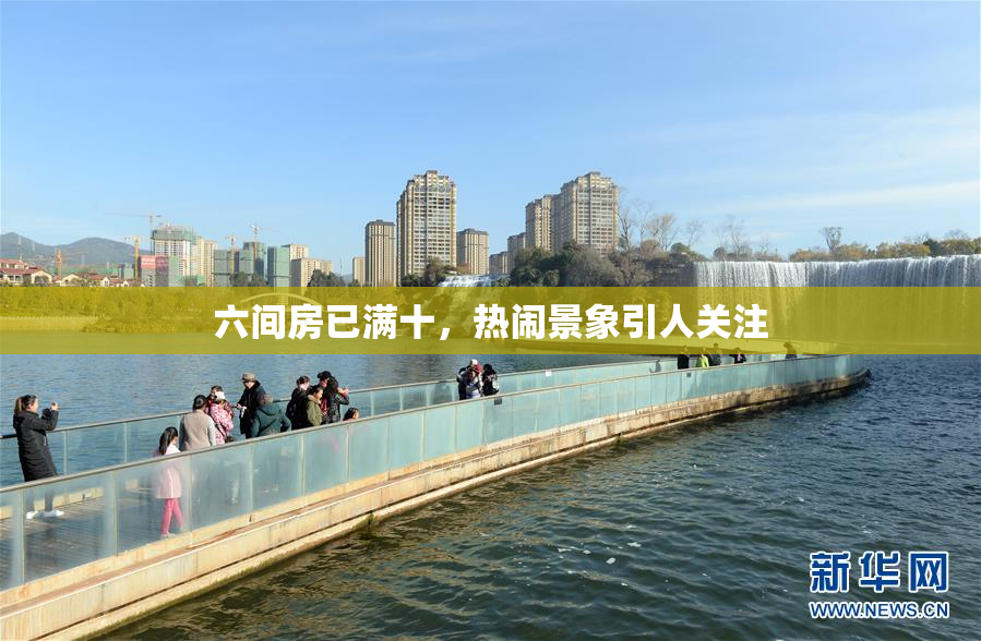 六间房已满十，热闹景象引人关注